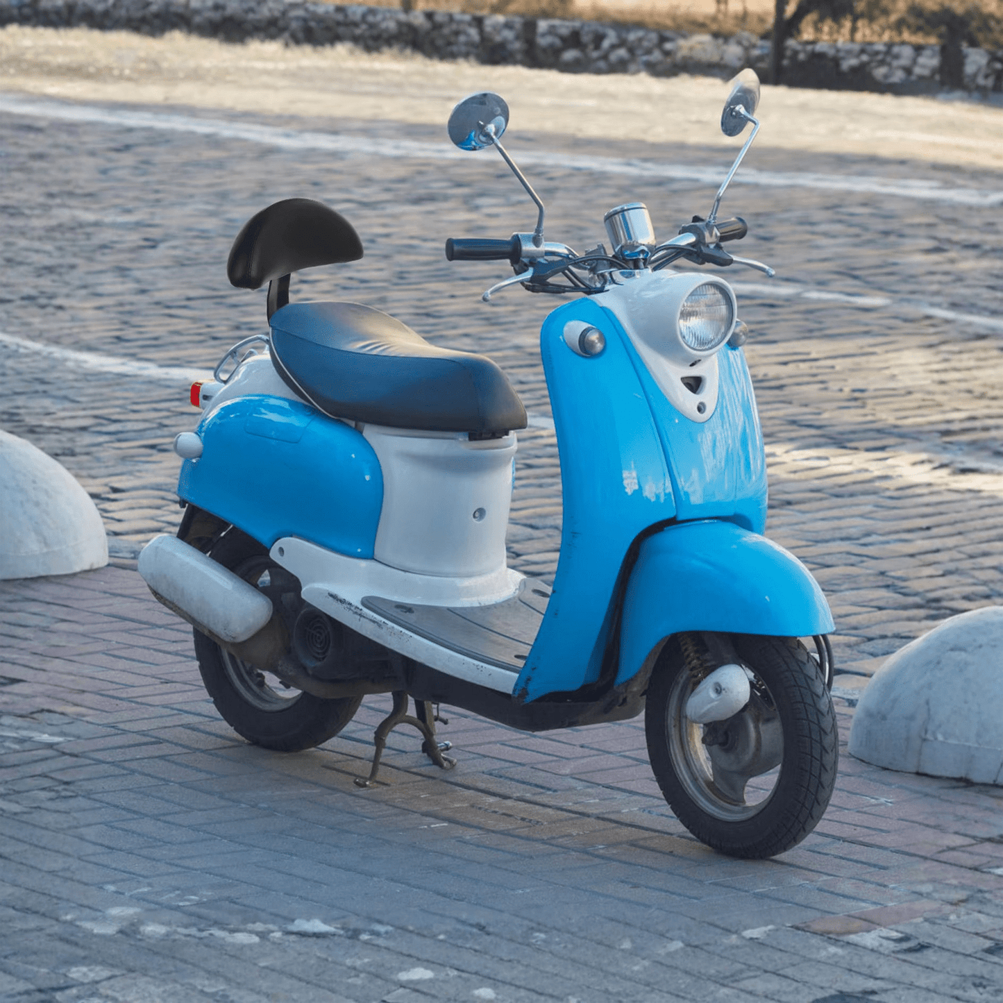 Smarte Passagier-Rückenlehne - Zubehör - Wheelyshop