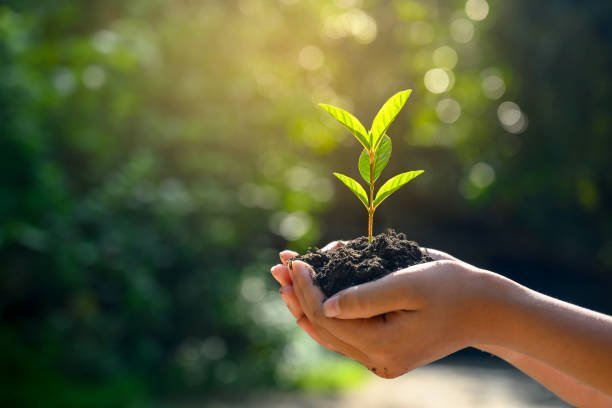 Retouren reduzieren und die Umwelt schonen