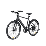 Trekking E-Bike
