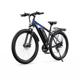 Herren-E-Bike