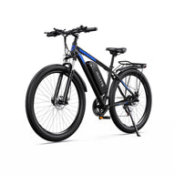 Herren-E-Bike