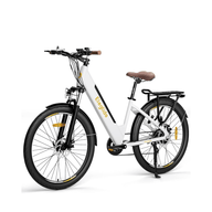 E-Bike mit großer Reichweite