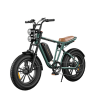 E-Bike Fatbike