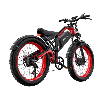 Duotts N26 E-Bike Rückansicht - Wheelyshop