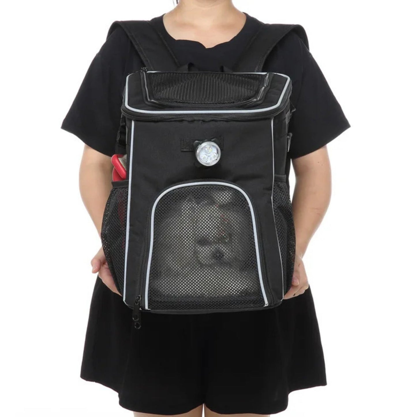 2-in-1 Faltbare Fahrradtasche/Rucksack für Haustiere - Zubehör - Wheelyshop