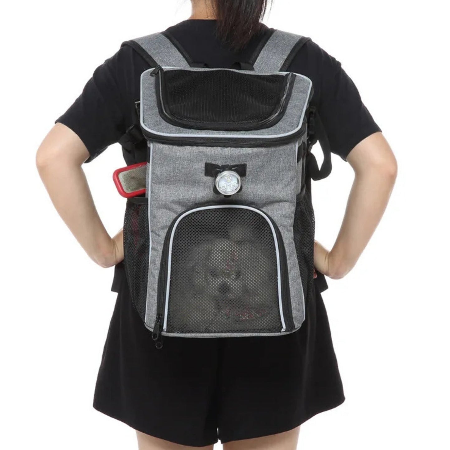 2-in-1 Faltbare Fahrradtasche/Rucksack für Haustiere - Zubehör - Wheelyshop