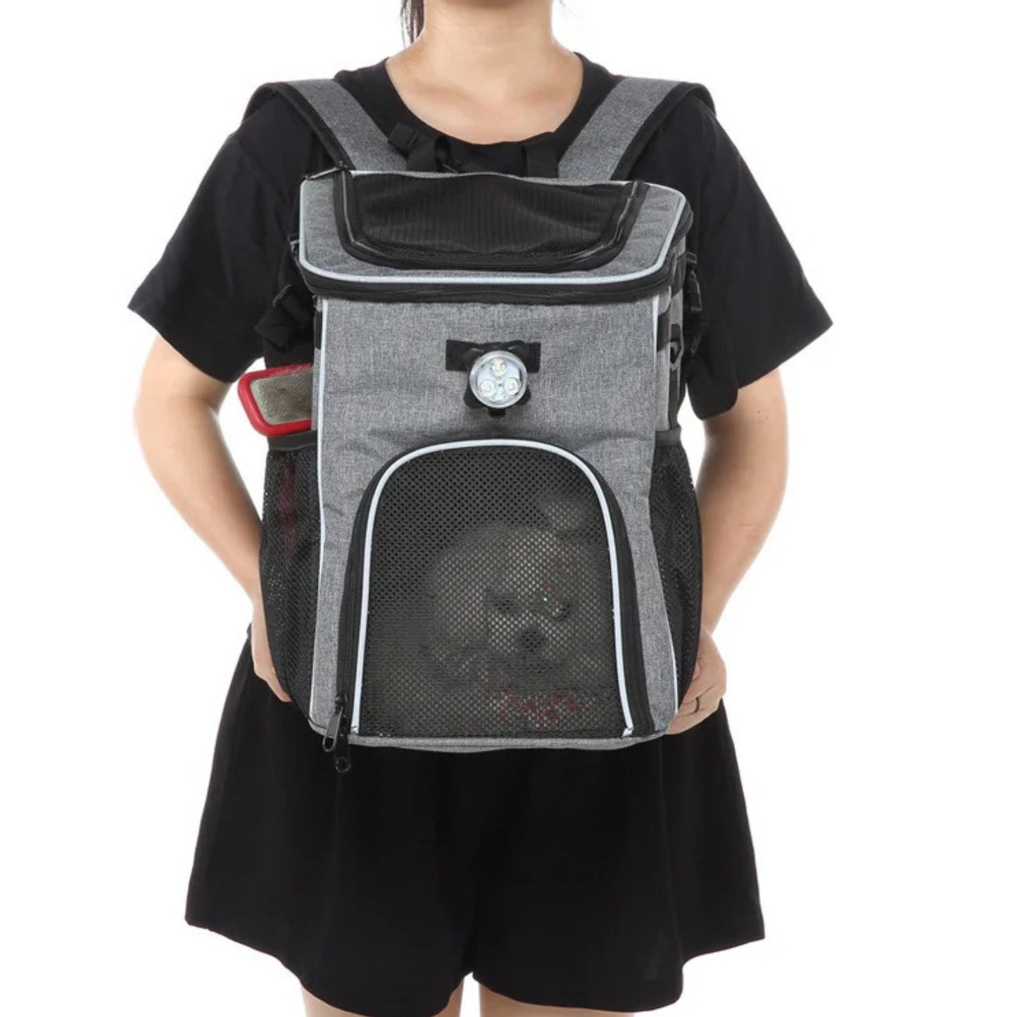 2-in-1 Faltbare Fahrradtasche/Rucksack für Haustiere - Zubehör - Wheelyshop
