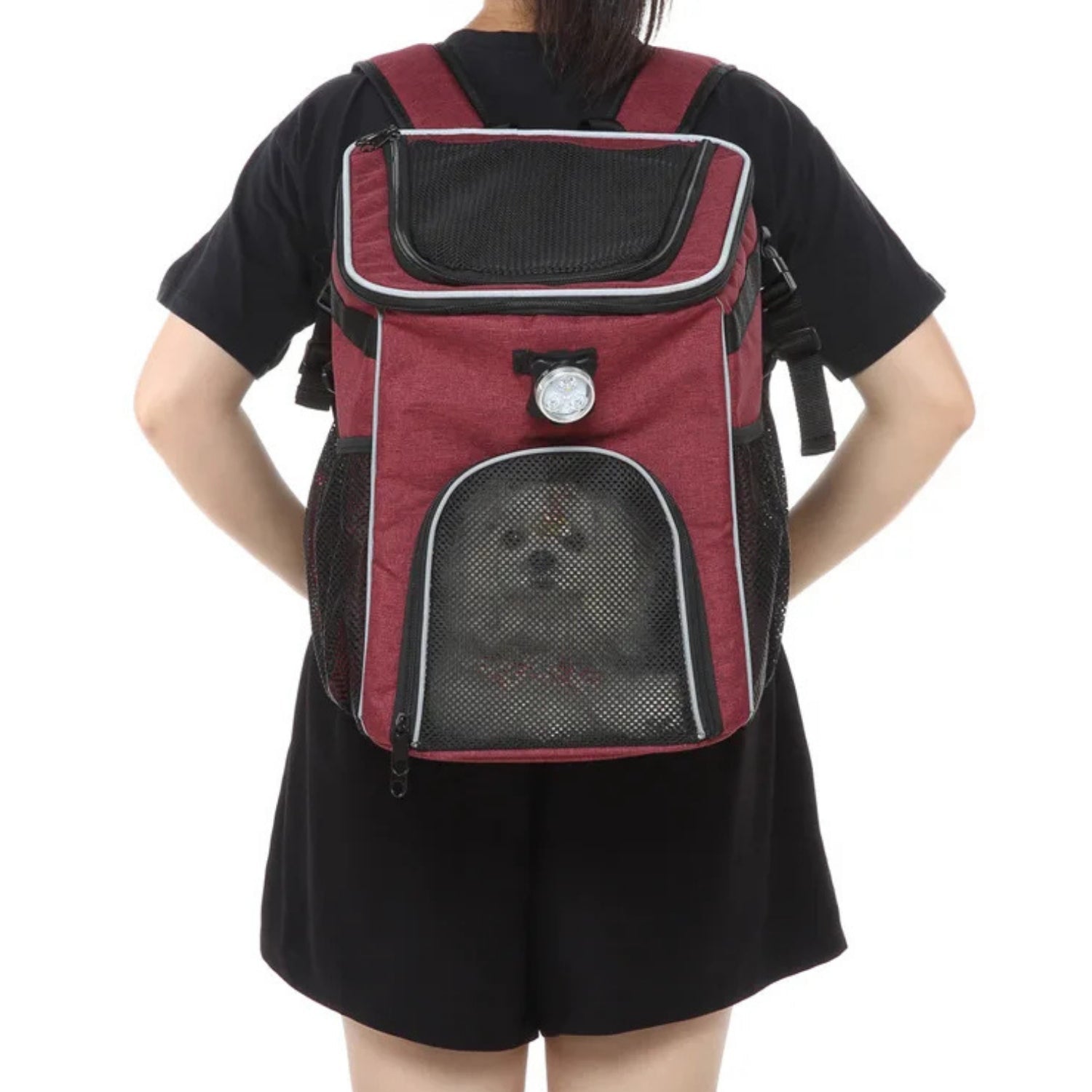 2-in-1 Faltbare Fahrradtasche/Rucksack für Haustiere - Zubehör - Wheelyshop