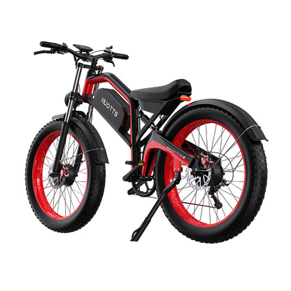 Duotts N26 E-Bike Bild - Wheelyshop