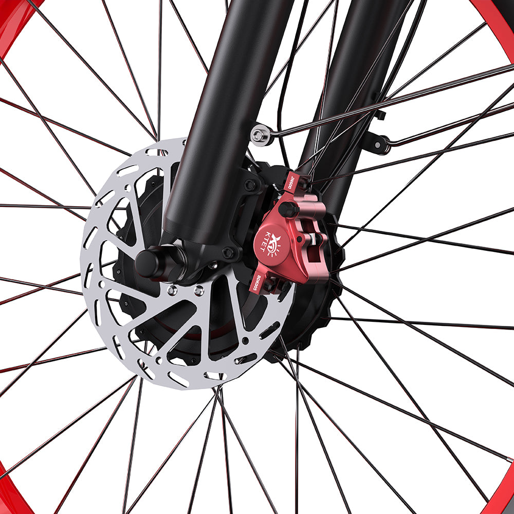 Duotts N26 E-Bike Bild - Wheelyshop