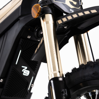 79BIKE Lynx Trail - Elektro-Dirtbike - Wheelyshop