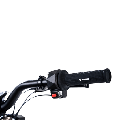 79BIKE Lynx Trail - Elektro-Dirtbike - Wheelyshop