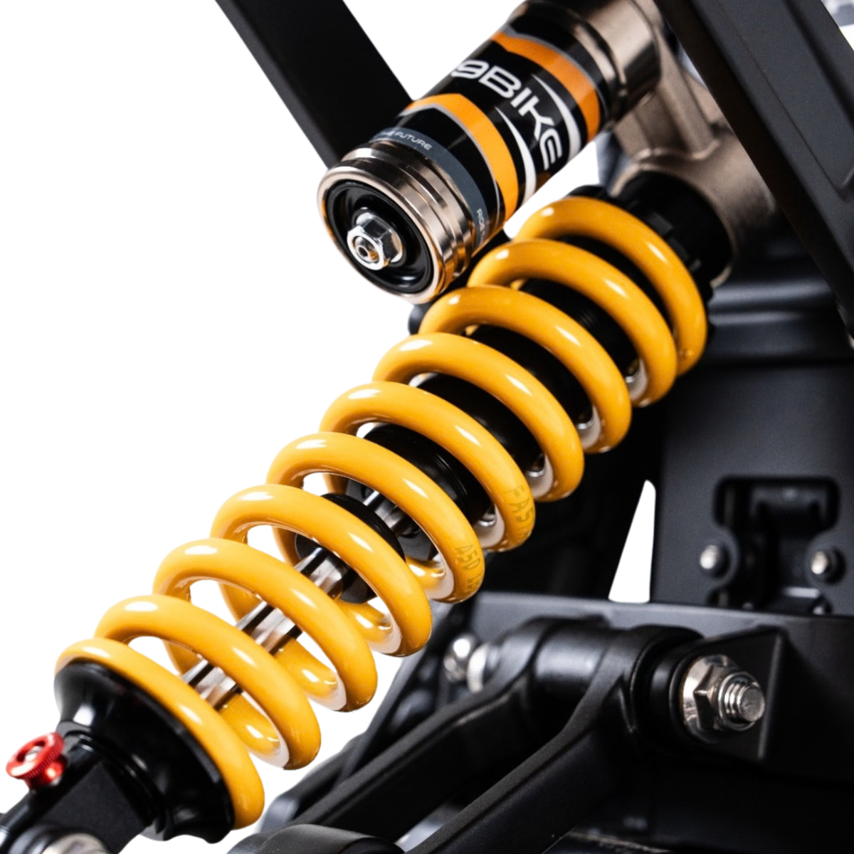 79BIKE Lynx Trail - Elektro-Dirtbike - Wheelyshop