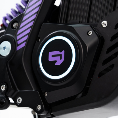 79BIKE Lynx Trail - Elektro-Dirtbike - Wheelyshop