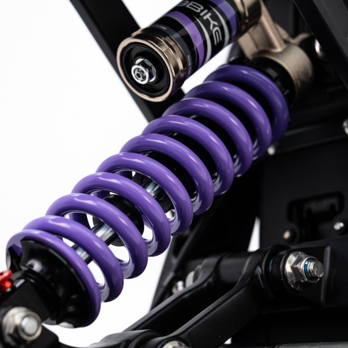 79BIKE Lynx Trail - Elektro-Dirtbike - Wheelyshop
