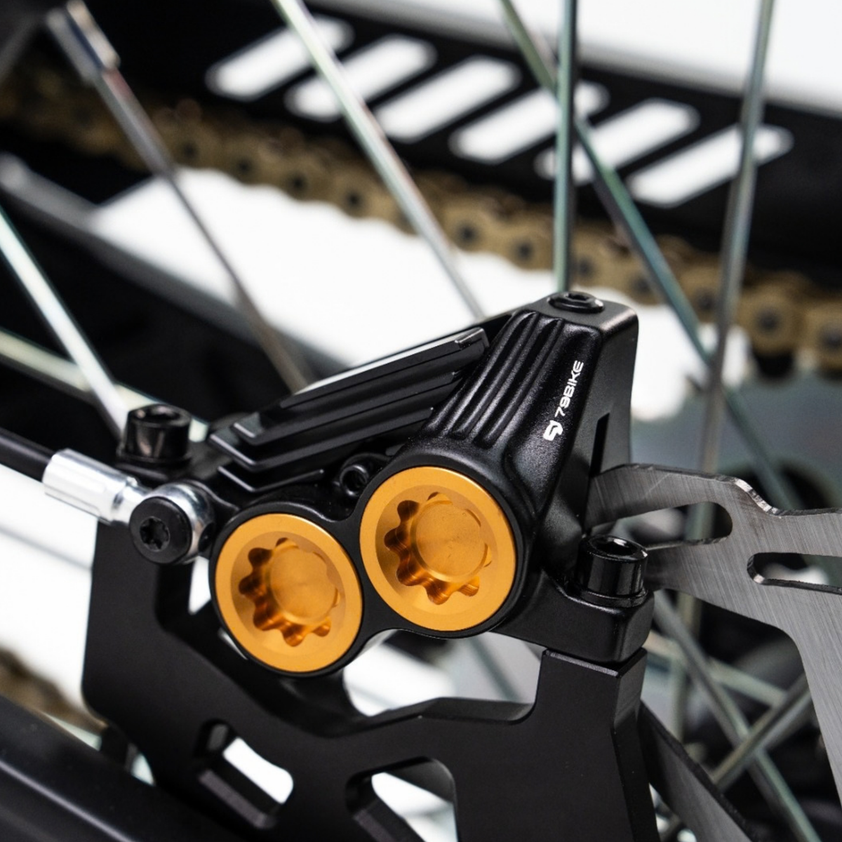 79BIKE Lynx Trail - Elektro-Dirtbike - Wheelyshop