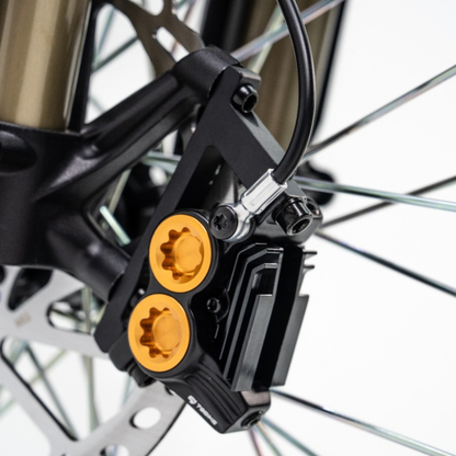 79BIKE Lynx Trail - Elektro-Dirtbike - Wheelyshop