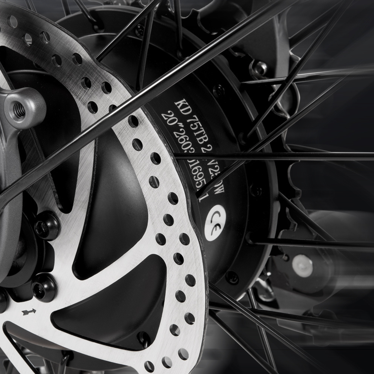 DYU SP1 - E-Bike - Wheelyshop