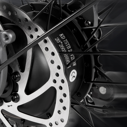 DYU SP1 - E-Bike - Wheelyshop