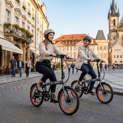 DYU SP1 - E-Bike - Wheelyshop