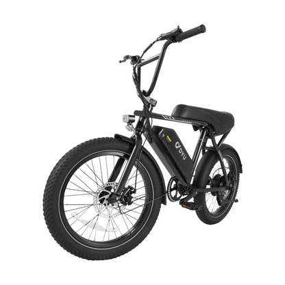 DYU UX BMX E-Bike mit herausnehmbarem 48-V-13-Ah-Akku – Wheelyshop