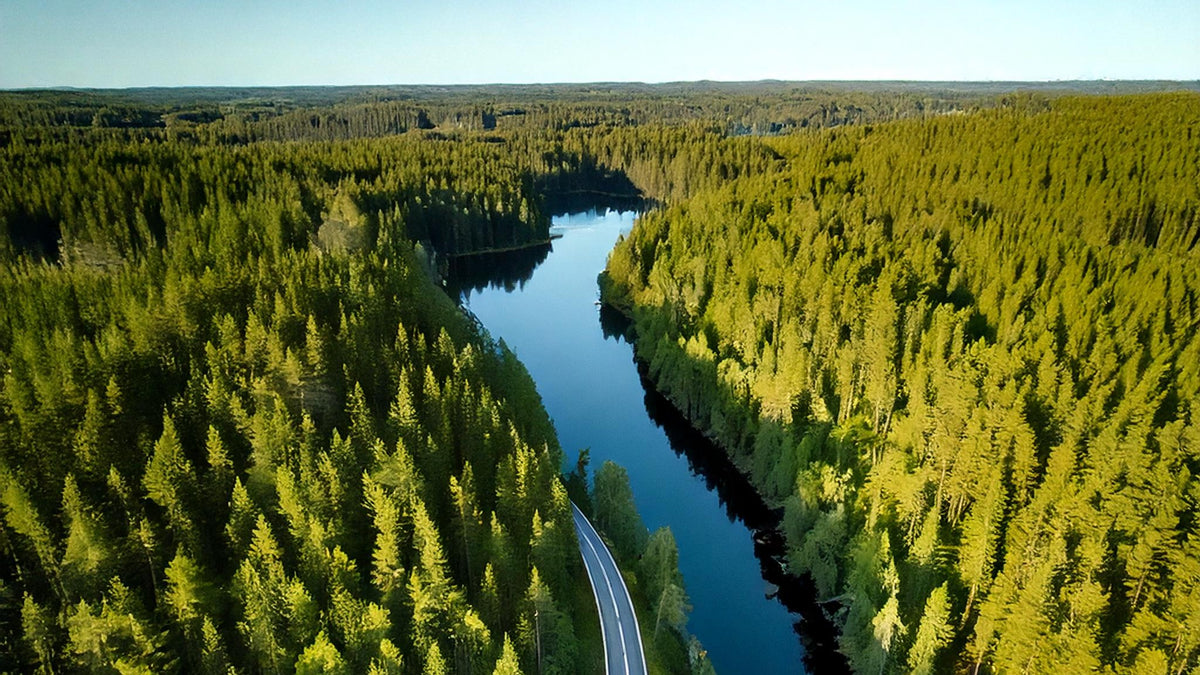 Waldlandschaft mit Straße und Wasser