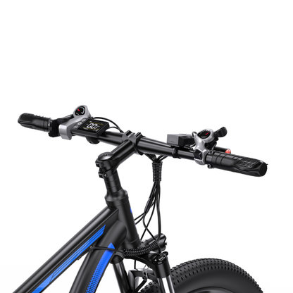 Duotts C29-M - E-Bike - Wheelyshop