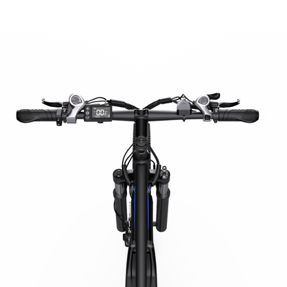 Duotts C29-M - E-Bike - Wheelyshop