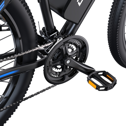Duotts C29-S - E-Bike - Wheelyshop