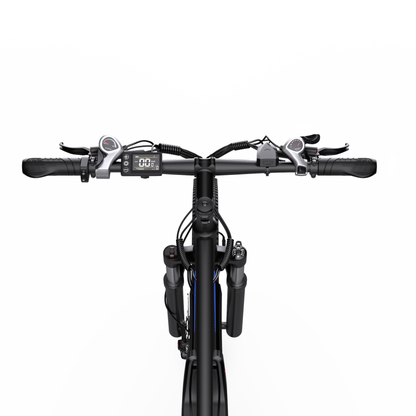 Duotts C29-S - E-Bike - Wheelyshop