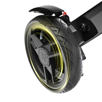 Hinterrad des EASWE C20