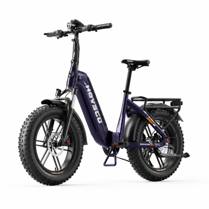 HOVSCO HovBeta - E-Bike - Wheelyshop
