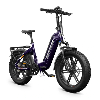 HOVSCO HovBeta - E-Bike - Wheelyshop