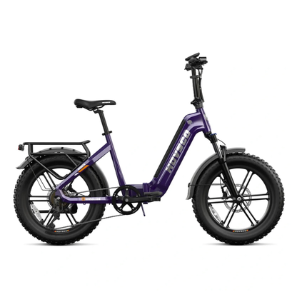 HOVSCO HovBeta - E-Bike - Wheelyshop