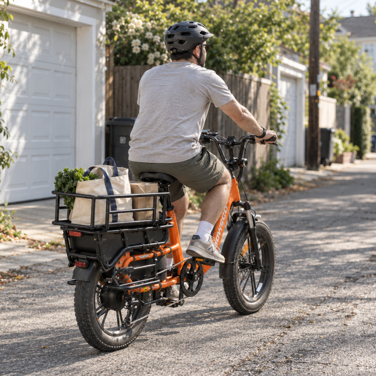 HOVSCO HovCart - E-Bike - Wheelyshop