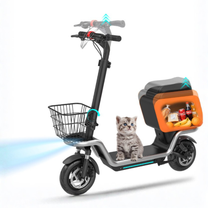 Infografik mit Text zum HX S20 E-Scooter