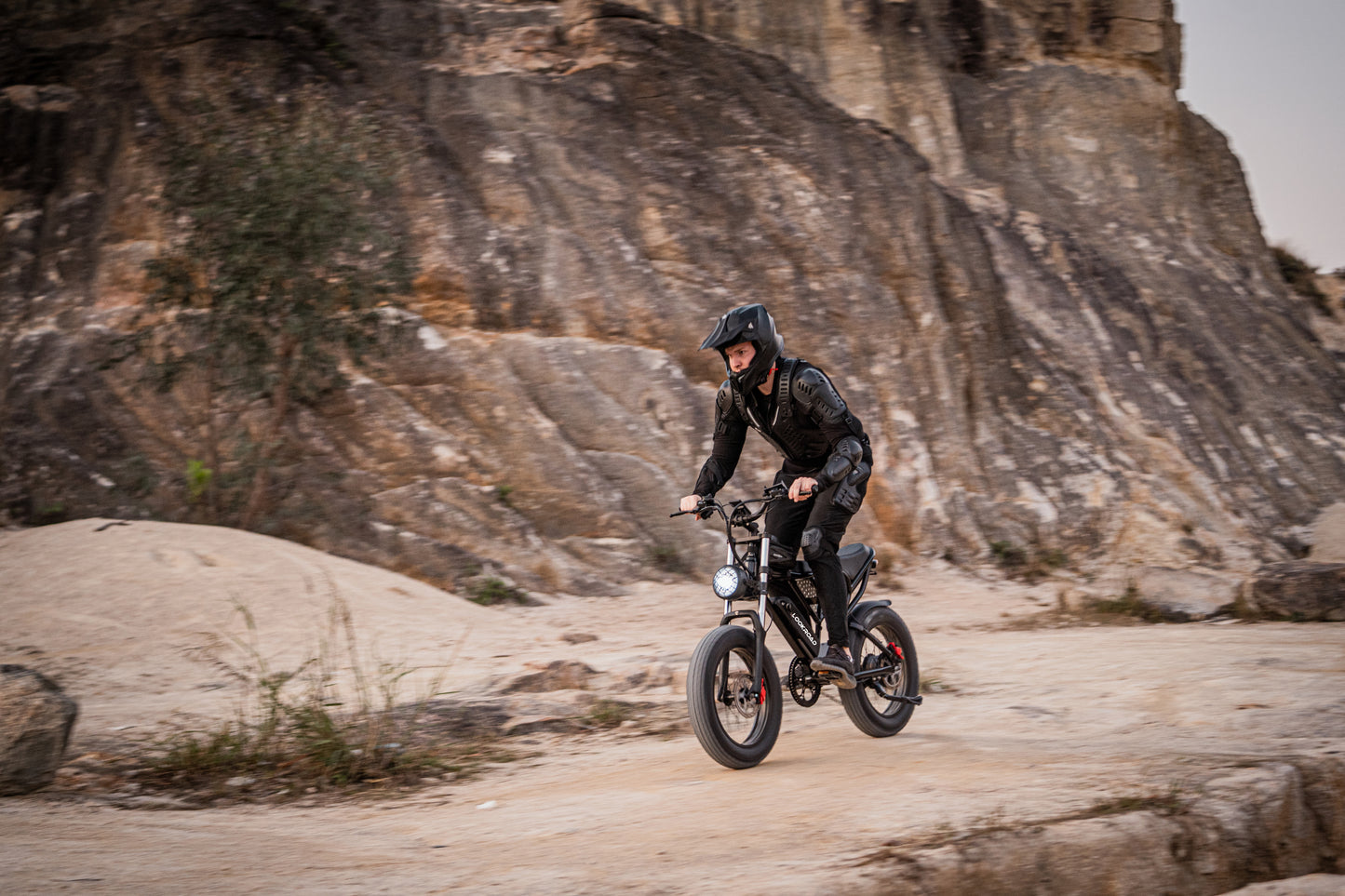 LOOKROAD L20 - E-Bike - Wheelyshop