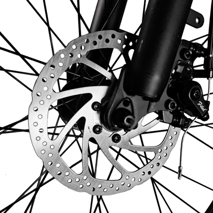 LOOKROAD L26 - E-Bike - Wheelyshop