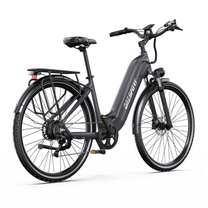 OneSport OT05 Max graues E-Bike schräg von hinten gesehen mit Gepäckträger, Rücklicht und Kette