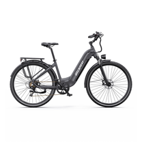 OneSport OT05 Max graues E-Bike mit tiefem Einstieg in Seitenansicht von rechts, mit Gepäckträger und Schutzblechen
