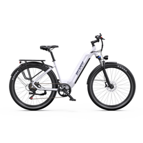 OneSport WT05 E-Bike in Weiß, von der Seite mit Gepäckträger, Schutzblechen und Scheibenbremse vorn