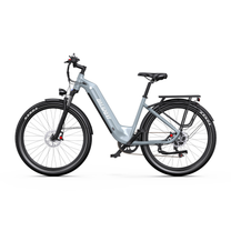OneSport WT05 E-Bike in Grau von der Seite mit tiefem Einstieg und Gepäckträger hinten