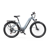 OneSport WT05 E-Bike in Seitenansicht mit grauem Rahmen, tiefem Einstieg, Gepäckträger und Schutzblechen über den Rädern