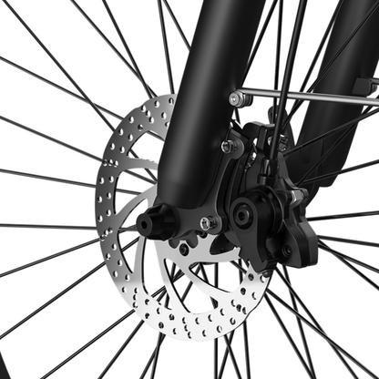 PIXAR C1 - E-Bike - Wheelyshop