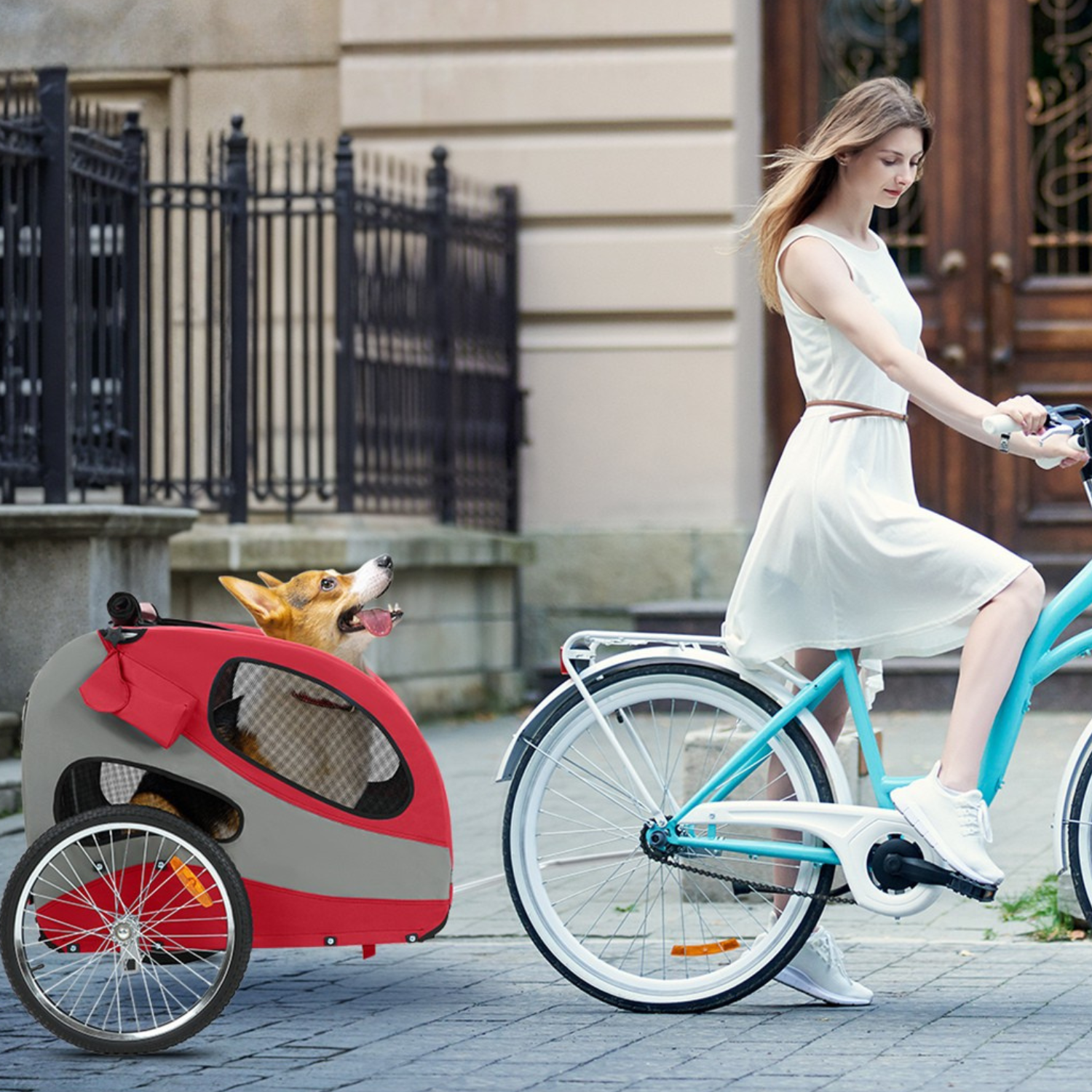Hundeanhänger Fahrrad 10801 - Hundeanhänger - Wheelyshop
