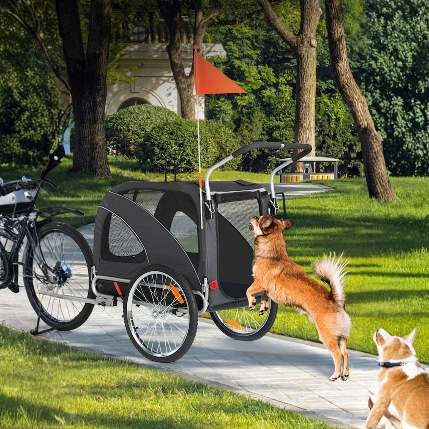 Hundeanhänger Fahrrad 10202B - Hundeanhänger - Wheelyshop