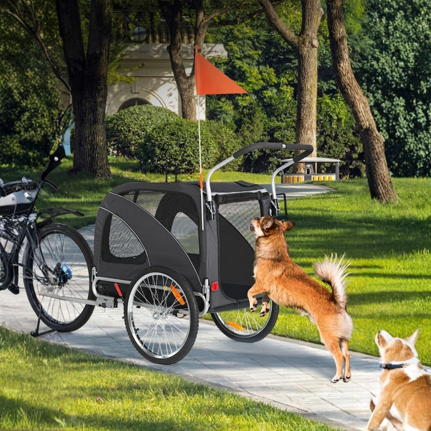 Hundeanhänger Fahrrad 10202B - Hundeanhänger - Wheelyshop