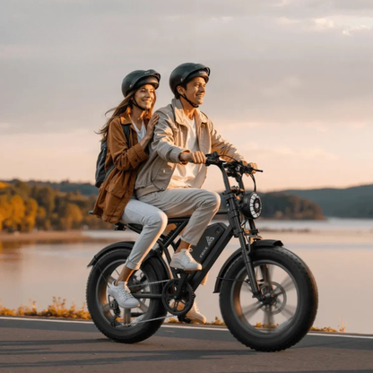 TST R002 - E-Bike - Wheelyshop