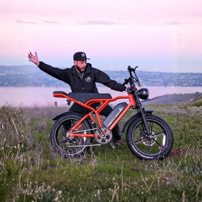 TST R002 - E-Bike - Wheelyshop