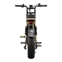 TST R7 Fatbike-E-Bike von hinten in Beige